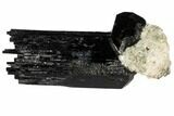 Black Tourmaline (Schorl) Crystals with Orthoclase - Namibia #132185-1